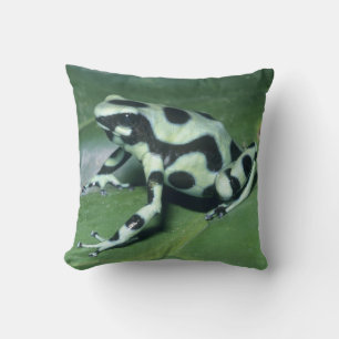 Cojín Decorativo Rana venenosa, (Dendrobates auratus) Cahuita