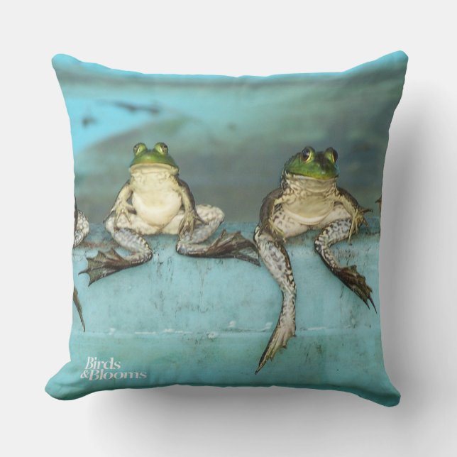 Cojín Decorativo Ranas que se sientan (Anverso)