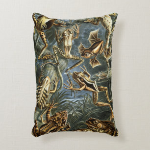 Cojín Decorativo Ranas y sapos vintage Batrachia por Ernst Haeckel
