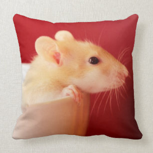 Cojín Decorativo Rata del bebé