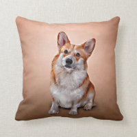 Raza de perro de dibujo Corgi galés 