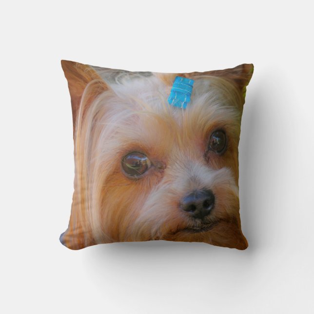 Cojín Decorativo Raza favorita de Yorkshire Terrier Yorkie (Anverso)