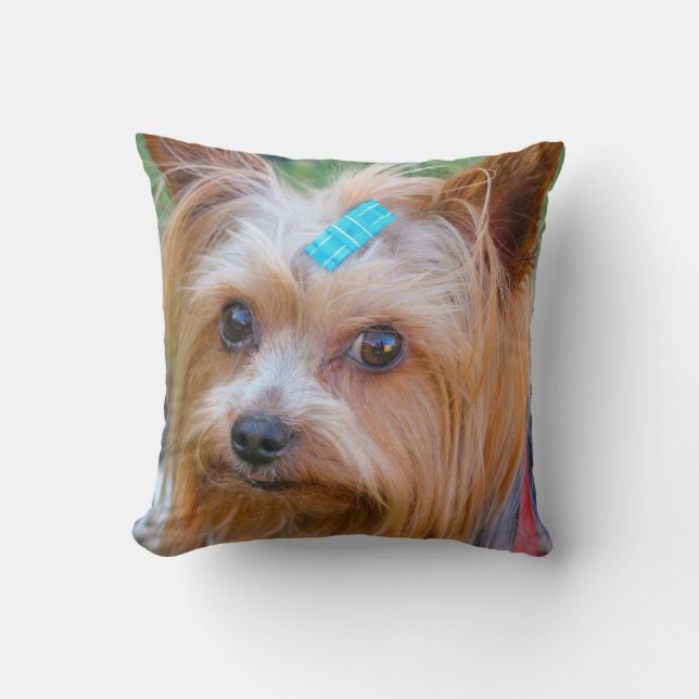 Cojín Decorativo Raza favorita de Yorkshire Terrier Yorkie (Anverso)