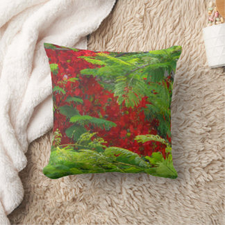 Cojín Decorativo Real Poinciana