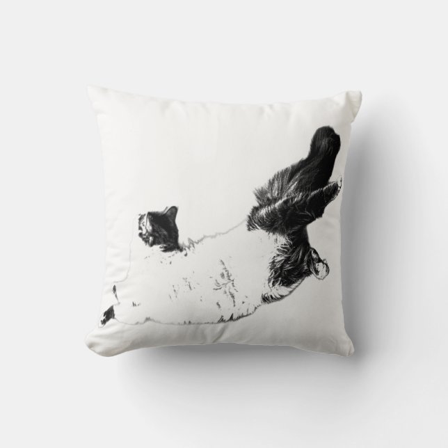 Cojín Decorativo Rechazo del brillo de la bomba (Anverso)