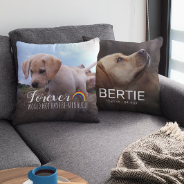 Cojín Decorativo Recuerdo de Mascota | Tributo a Perro 2 Fotos
