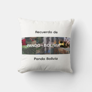 Cojín Decorativo Recuerdo de Pando Bolivia