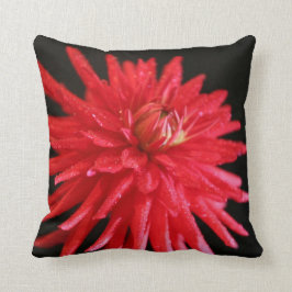 Cojín Decorativo Red Cactus Dahlia