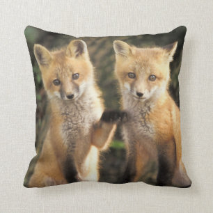 Cojín Decorativo Red Fox de cachorro frente a den Vulpes vulpes)