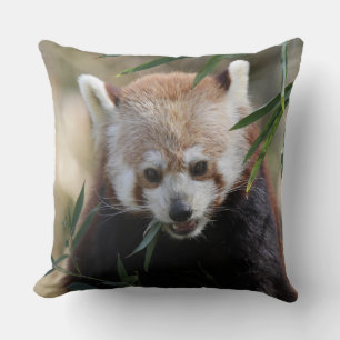 Cojín Decorativo Red_Panda_2015_0311