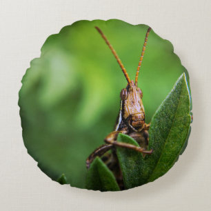 Cojín decorativo redondo (16")