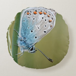 Cojín decorativo redondo (16")