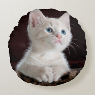 Cojín decorativo redondo (16")