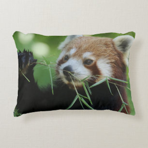 Cojín Decorativo RedPanda 002