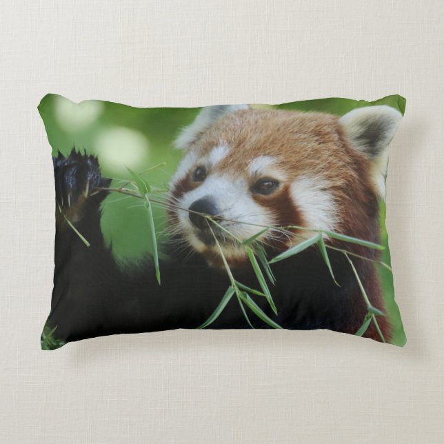 Cojín Decorativo RedPanda 002 (Anverso)