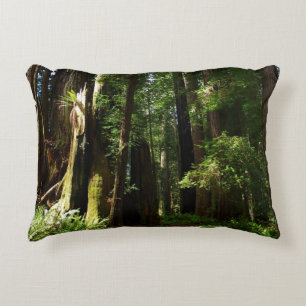 Cojín Decorativo Redwoods y helechos en el Parque Nacional Redwood