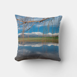 Cojín Decorativo Reflexiones de invierno. Ceres, distrito de Boland