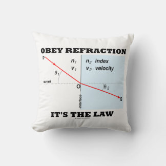 Cojín Decorativo Refracción obvia es la ley física el humor geek