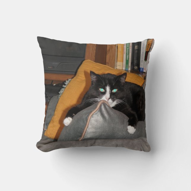 Cojín Decorativo Relaje un gato (Anverso)