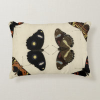 Relevo colorido de la mariposa en el fondo poner