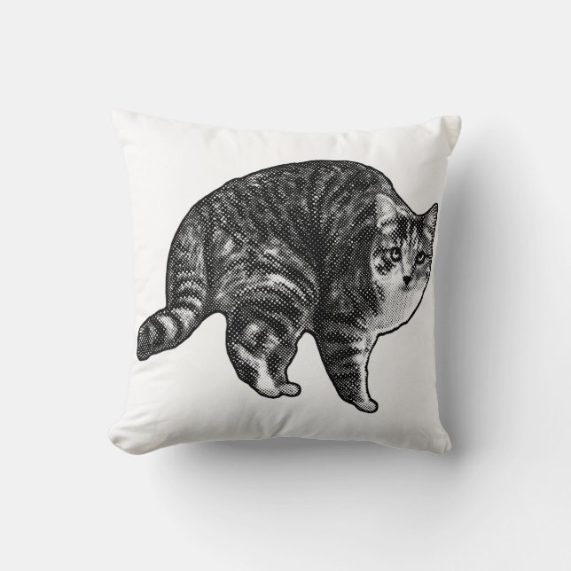 Cojín Decorativo Reloj de Tabby Crepuscular (Anverso)
