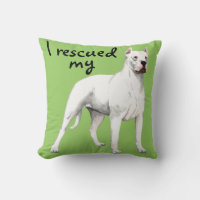 Rescue Dogo Argentino