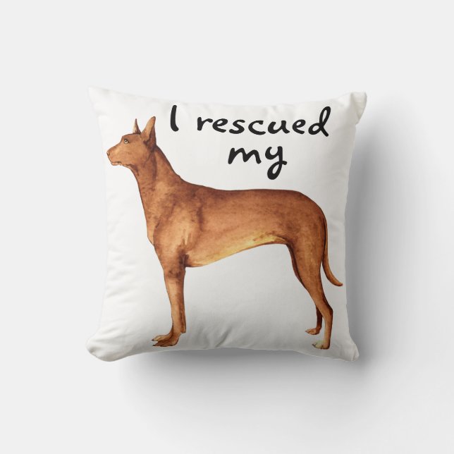 Cojín Decorativo Rescue Pharaoh Hound (Anverso)