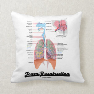 Cojín Decorativo Respiración del equipo (sistema respiratorio)