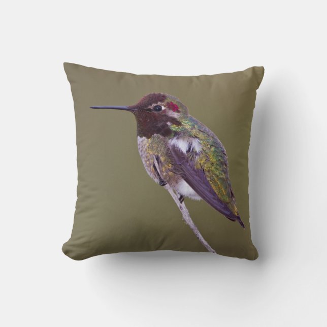 Cojín Decorativo Resplandor de colibrí (Anverso)