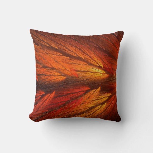 Cojín Decorativo Resumen Naranja Feather Fractal Pillow (Anverso)