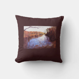 COJÍN DECORATIVO "RETIRO DE SCOTTY"