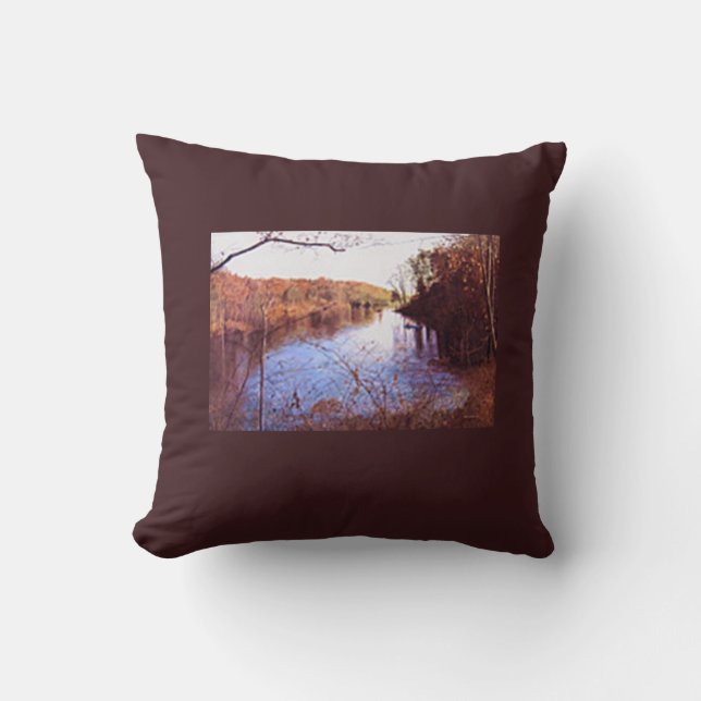 COJÍN DECORATIVO "RETIRO DE SCOTTY" (Anverso)