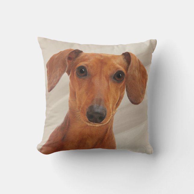 Cojín Decorativo Retrato de Dachshund (Anverso)