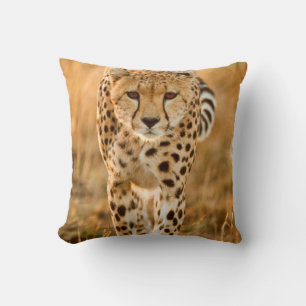 Cojín Decorativo Retrato de guepardo (Acinonyx Jubatus), Maasai