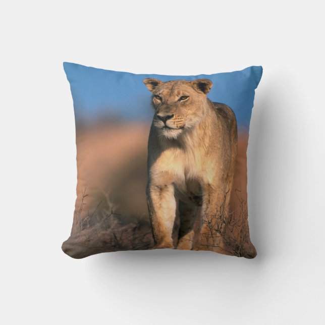 Cojín Decorativo Retrato De Leona (Panthera Leo) (Anverso)