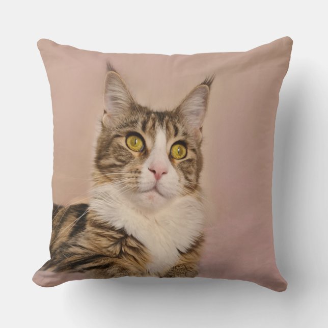 Cojín Decorativo Retrato de Maine Coon Kitten (Anverso)
