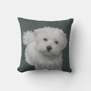 Cojín Decorativo Retrato de mascota de perrito blanco
