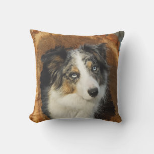 Cojín Decorativo Retrato de Perro de la Merle Azul de Collie Fronte