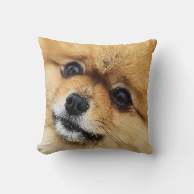 Cojín Decorativo Retrato de Pomeranian (Anverso)