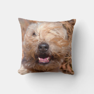 Cojín Decorativo retrato de Soft Coated Wheaten Terrier