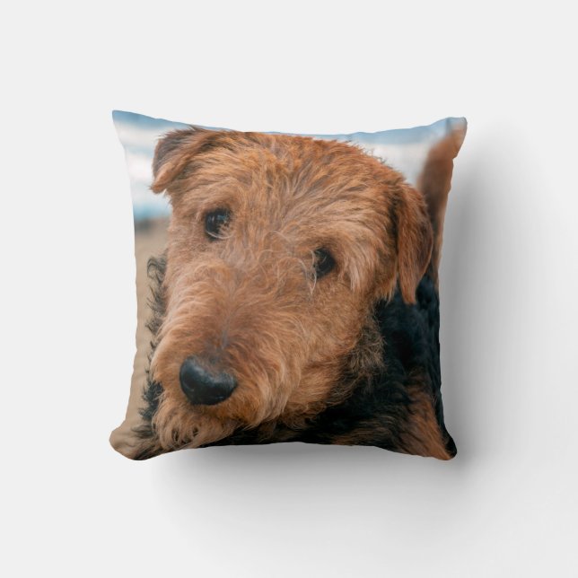 Cojín Decorativo Retrato de un Airedale Terrier (Anverso)