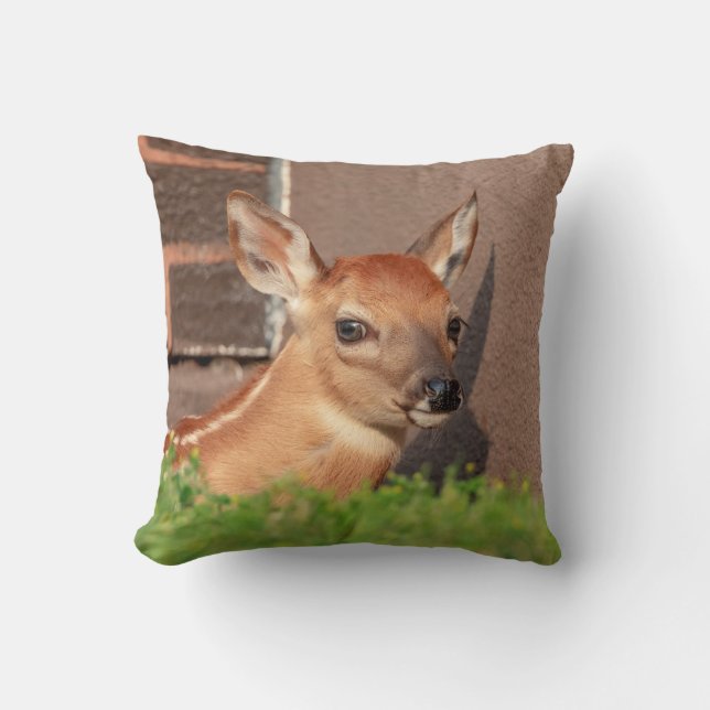 Cojín Decorativo Retrato de un alba (ciervo de cola blanca) (Anverso)