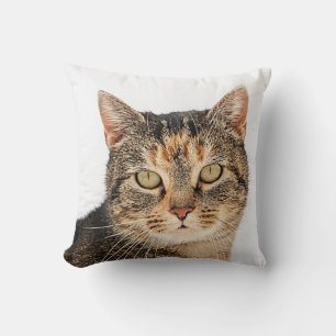 Cojín Decorativo Retrato de un gato