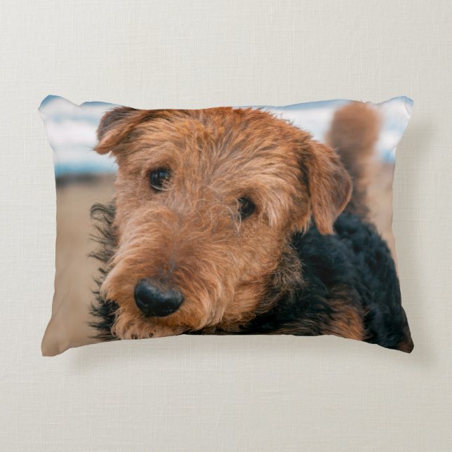 Cojín Decorativo Retrato de un Terrier Airedale (Anverso)