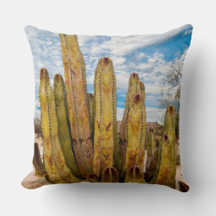 Cojín Decorativo retrato del Cactus Hombre Viejo, México