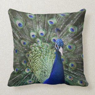 Cojín Decorativo Retrato del pavo real con las plumas hacia fuera