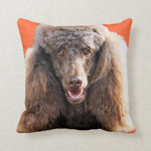 Cojín Decorativo Retrato del perro de caniche