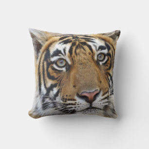 Cojín Decorativo Retrato del tigre de Bengala Real, Ranthambhor