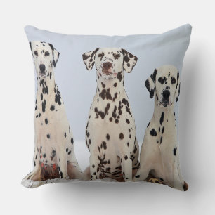Cojín Decorativo Retrato familiar dálmata