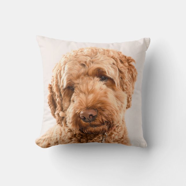 Cojín Decorativo Retrato Goldendoodle Studio (Anverso)